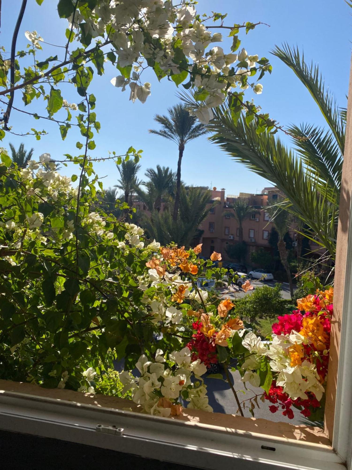 Riad Palmier Fleuri Marrakesh Exterior foto